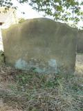 image number Moore Elizabeth 587